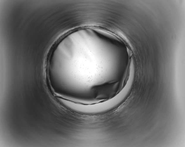 X0000088361124200706051018