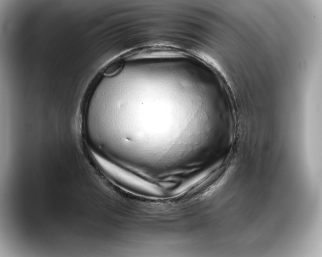 X0000088361125200706051018