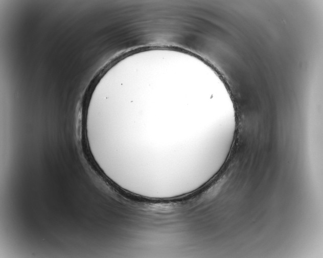 X0000088361126200706051018