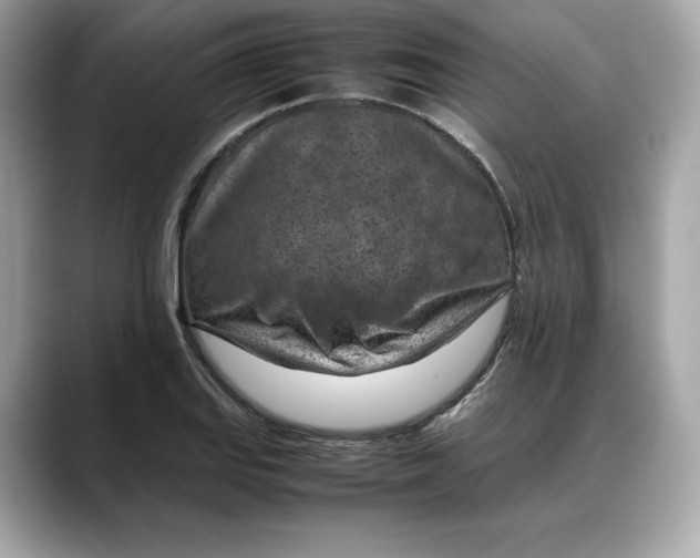 X0000088361127200706051018