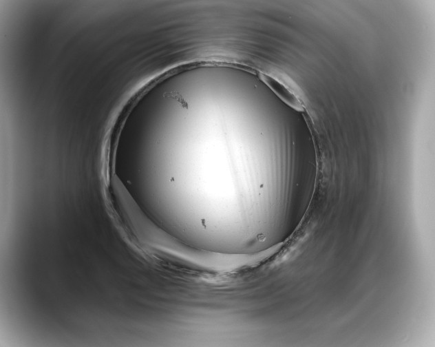 X0000088361128200706051018