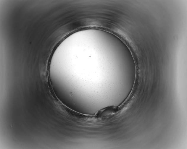 X0000088361129200706051018