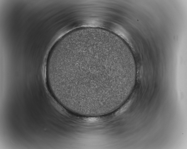 X0000088361130200706051018