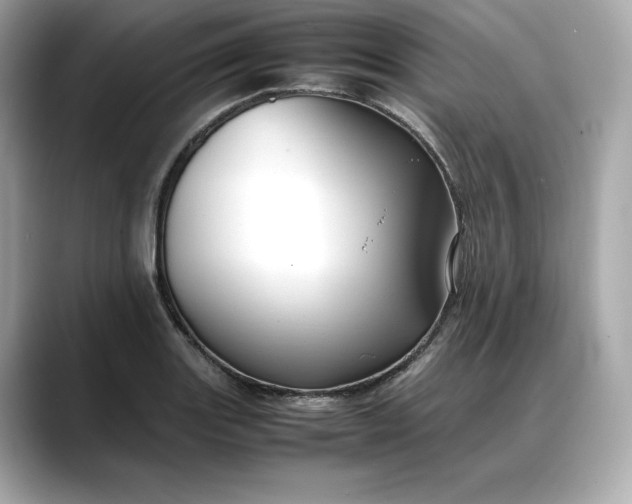 X0000088361131200706051018