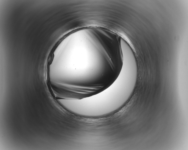 X0000088361132200706051018