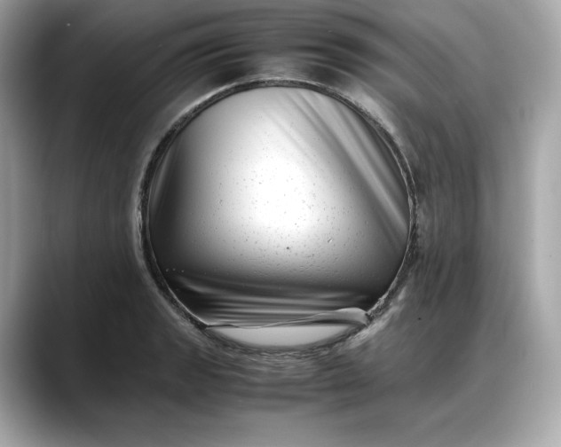 X0000088361133200706051018