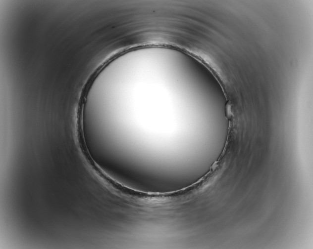 X0000088361134200706051018