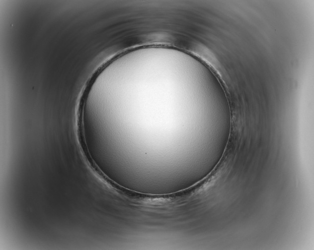 X0000088361135200706051018