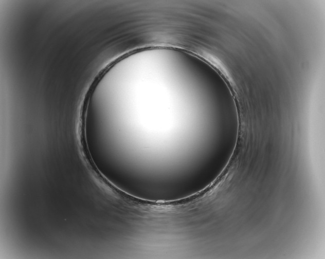 X0000088361136200706051018