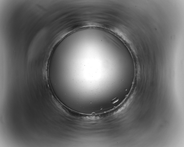 X0000088361137200706051018