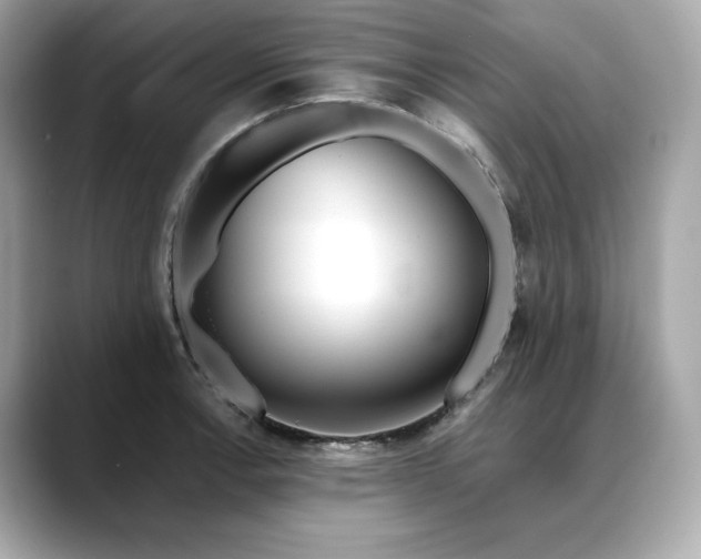 X0000088361138200706051018