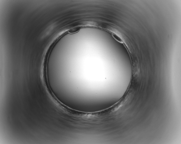 X0000088361139200706051018