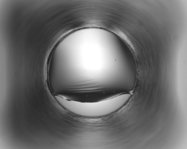 X0000088361140200706051018