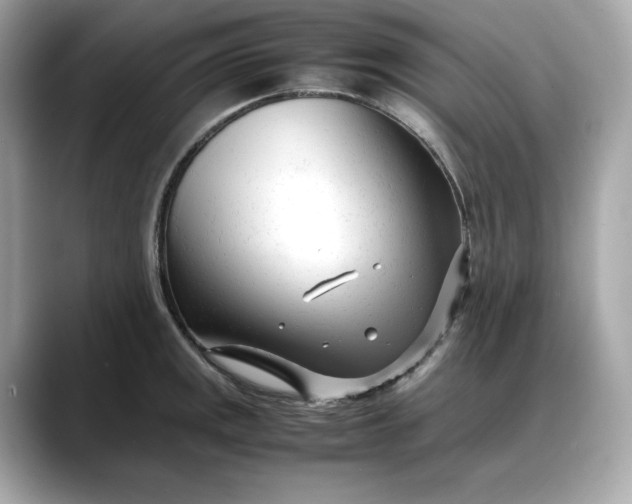 X0000088361141200706051018