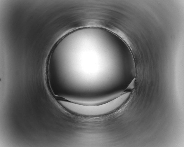 X0000088361142200706051018