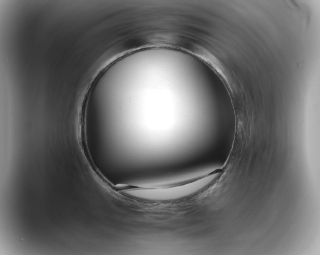 X0000088361143200706051019