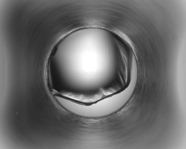 X0000088361144200706051019