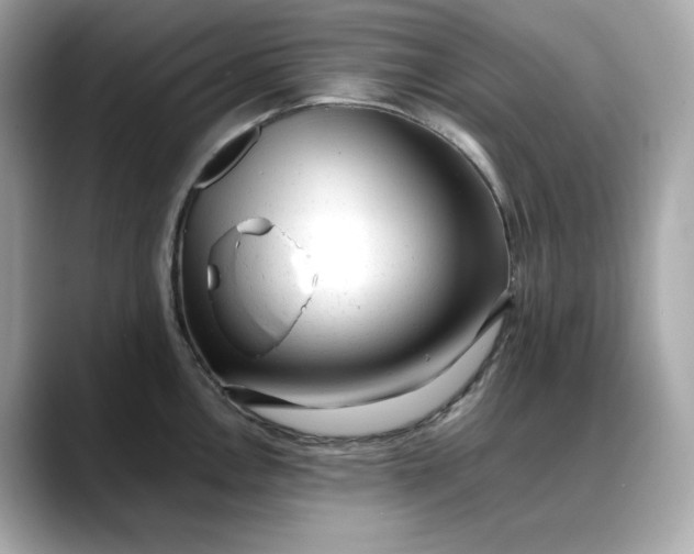 X0000088361146200706051019