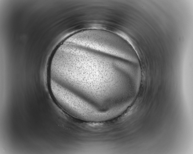 X0000088361147200706051019