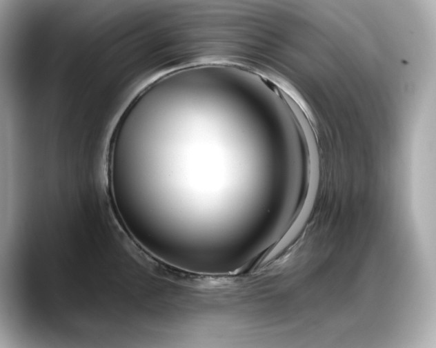 X0000088361148200706051019