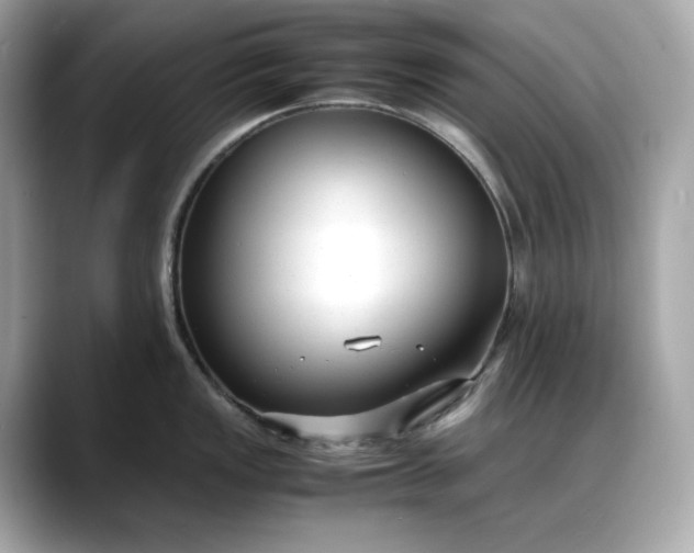 X0000088361149200706051019