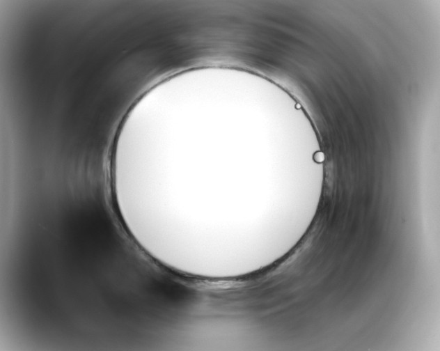 X0000088361150200706051019