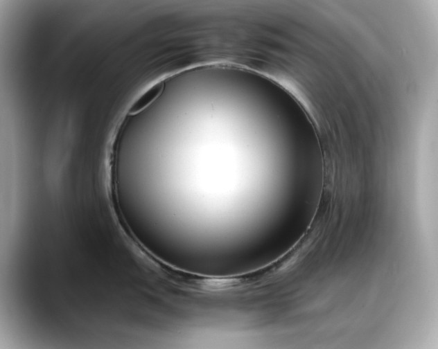 X0000088361151200706051019