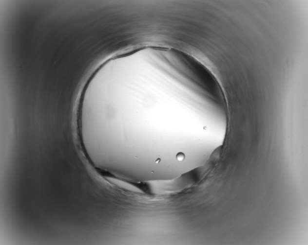 X0000088361152200706051019