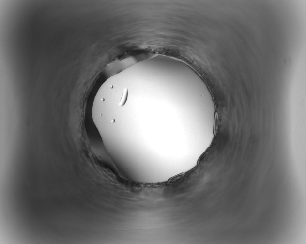 X0000088361153200706051018