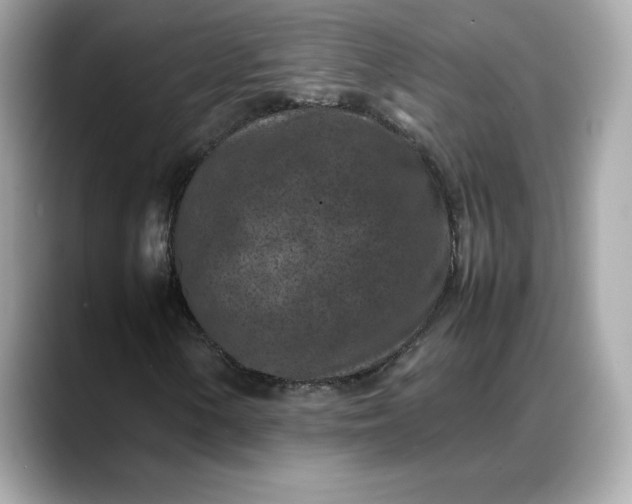 X0000088361154200706051018