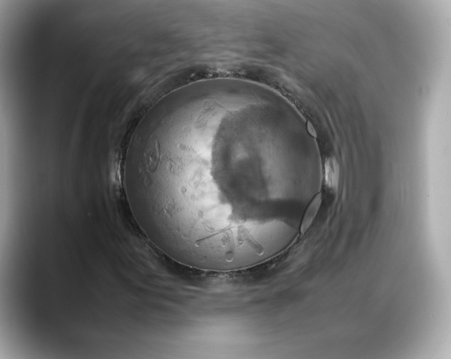 X0000088361155200706051018