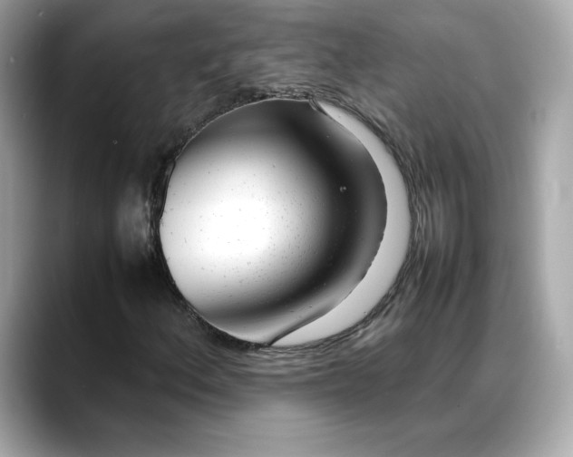 X0000088361156200706051018