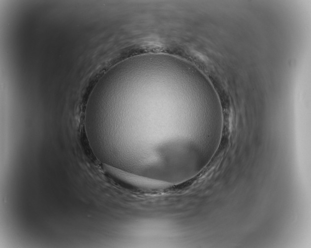 X0000088361157200706051018