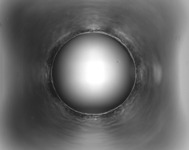 X0000088361158200706051018