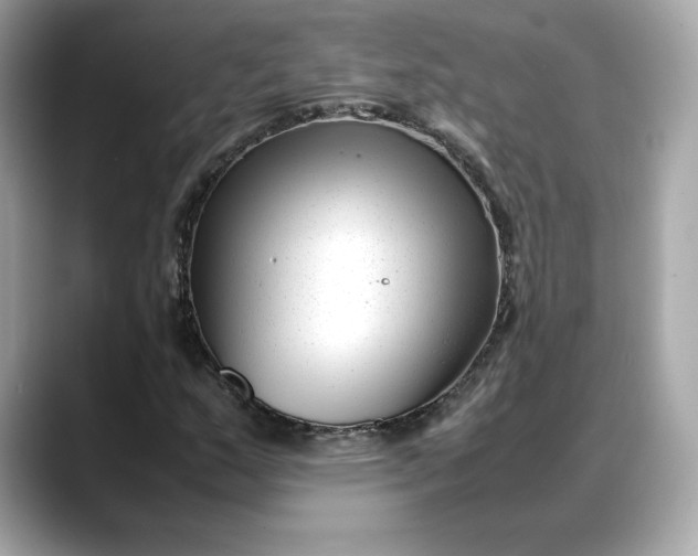 X0000088361159200706051018