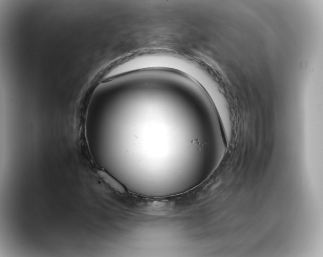 X0000088361160200706051018