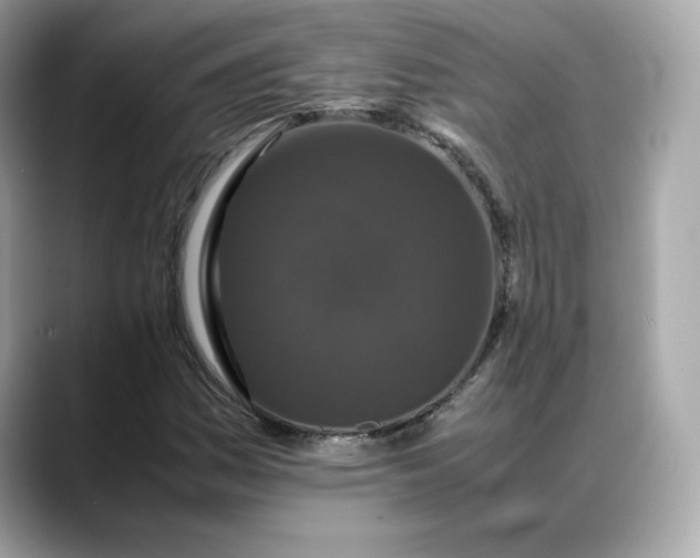 X0000088361161200706051018