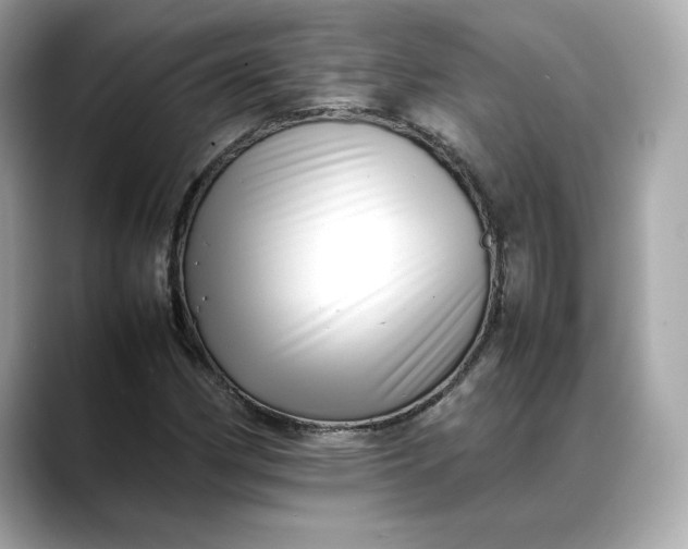 X0000088361162200706051018