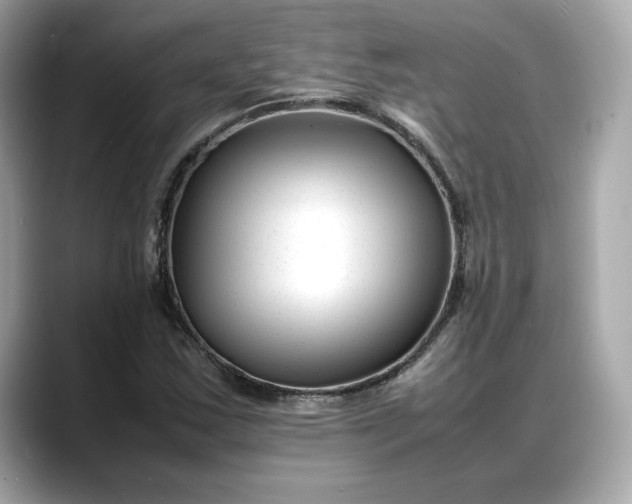 X0000088361163200706051018