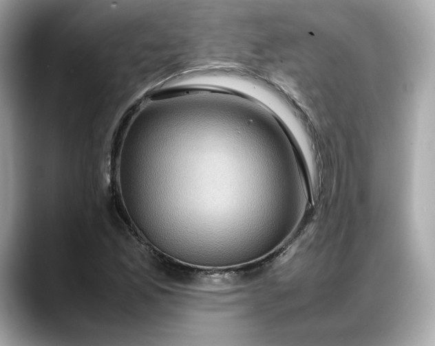 X0000088361165200706051018