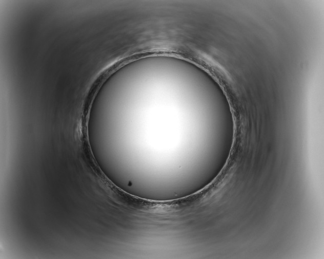 X0000088361166200706051018