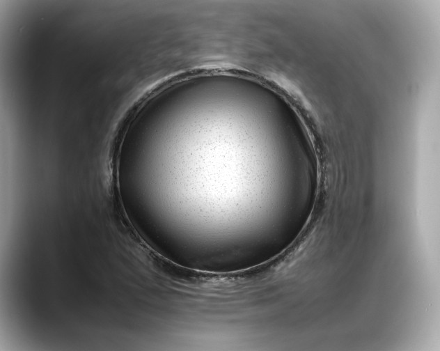 X0000088361167200706051018