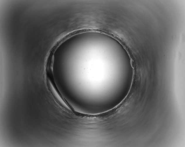 X0000088361168200706051018