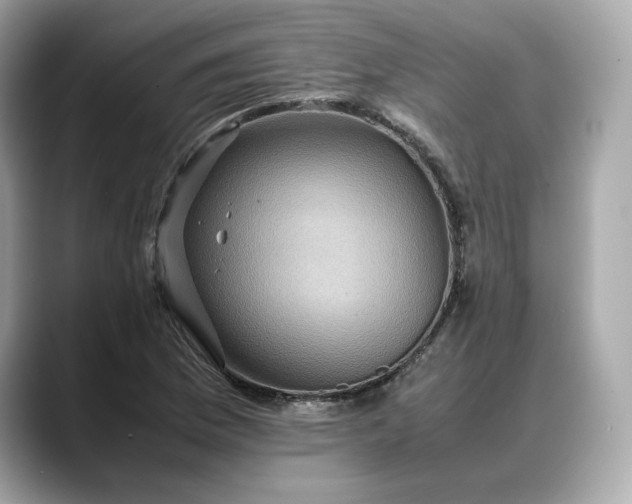 X0000088361169200706051018