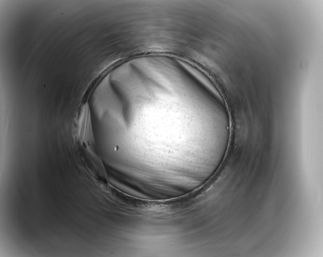 X0000088361170200706051018