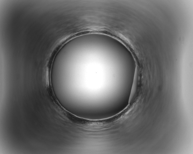 X0000088361171200706051018