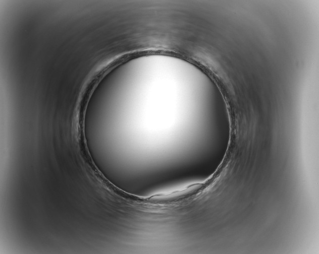 X0000088361172200706051018