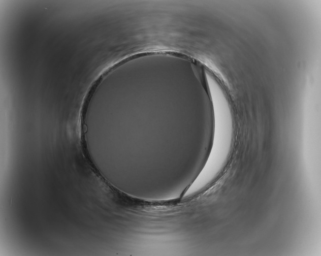 X0000088361173200706051018