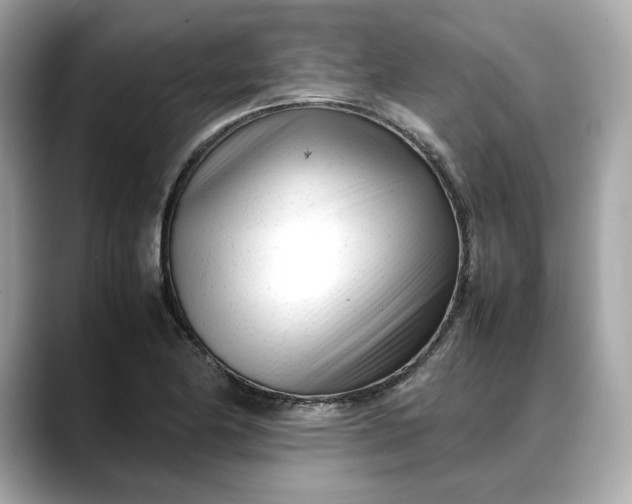 X0000088361174200706051018