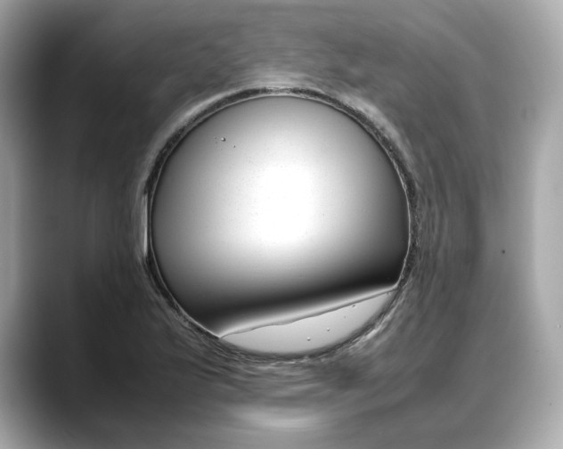 X0000088361175200706051018